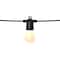 Dals Connect Pro 48 Foot Smart String Light, Black DCP-STG48 - alternate 1